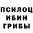 Галлюциногенные грибы мицелий ko gjv