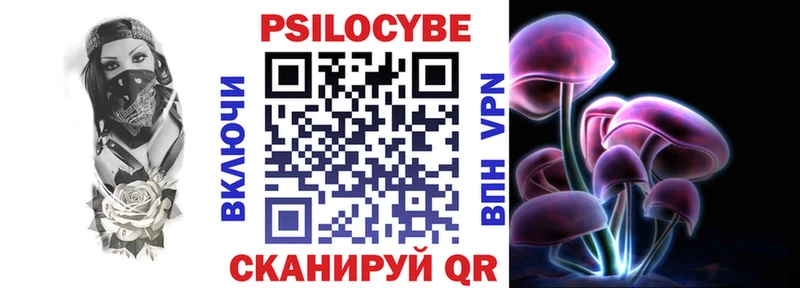 купить закладку  Белёв  площадка наркотические препараты  Галлюциногенные грибы Psilocybine cubensis 